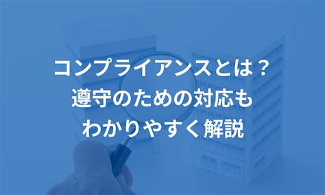 泉ひなのとは？ わかりやすく解説